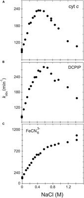 The Hinge Segment of Human NADPH-Cytochrome P450 Reductase in Conformational Switching: The Critical Role of Ionic Strength